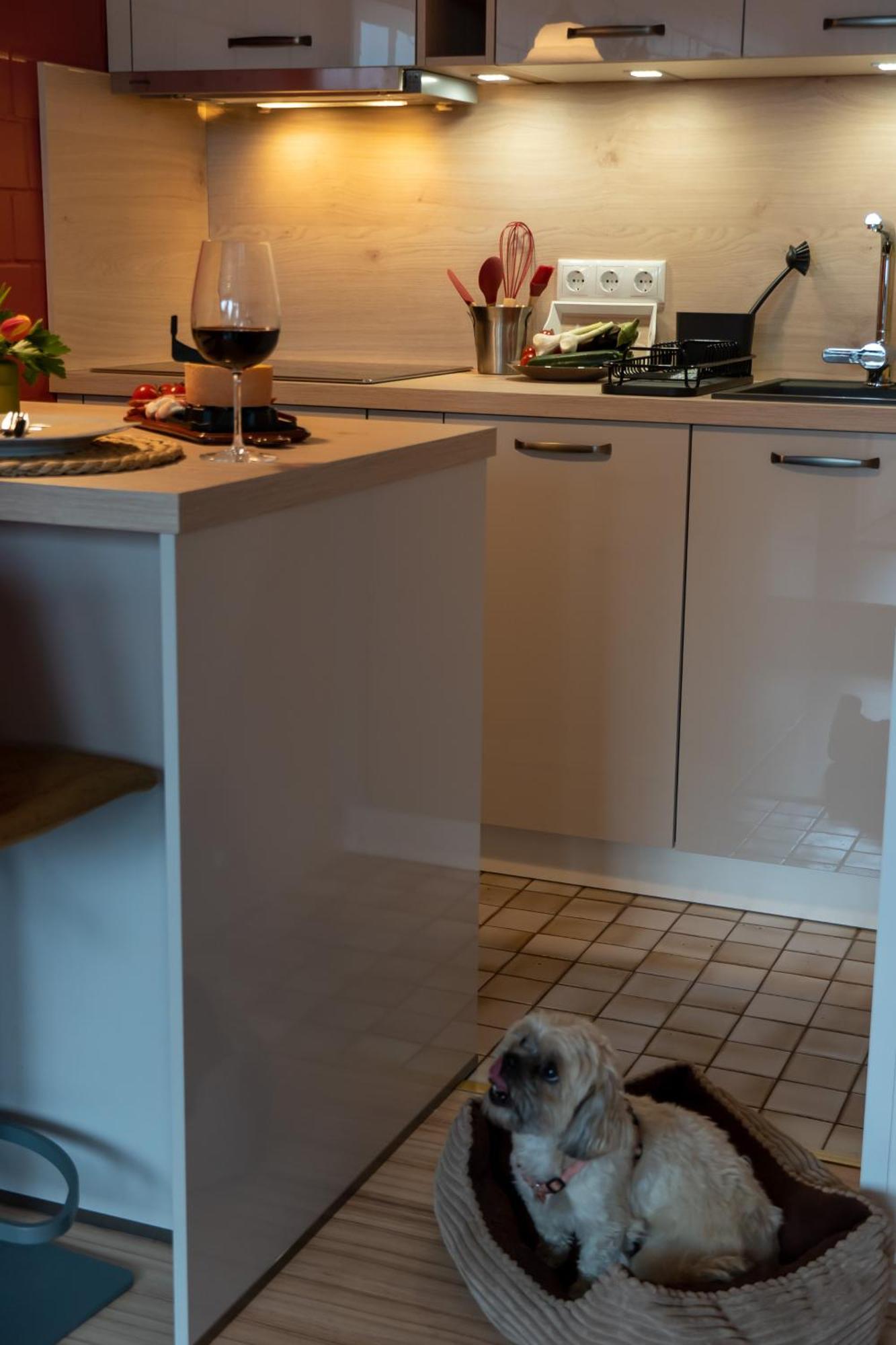 Harzer Weitblick, Hunde Willkommen, W-lan, 2x Smart Tv, Dtv 4 Sterne, 4 Pfoten